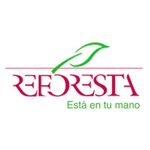 Reforesta