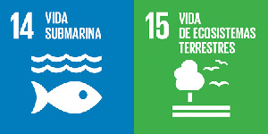 ODS_14y15