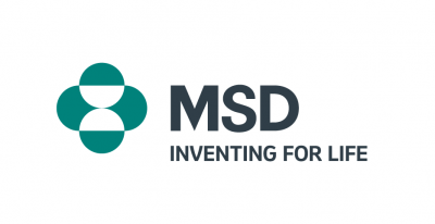 msd_Mesa de trabajo 1