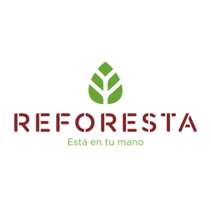Reforesta