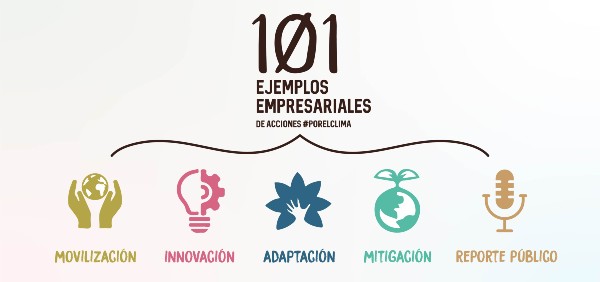 101 ejemplos empresariales