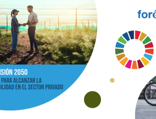 ODS y Visión 2050: Fórmula para alcanzar la sostenibilidad en el sector privado (2022)