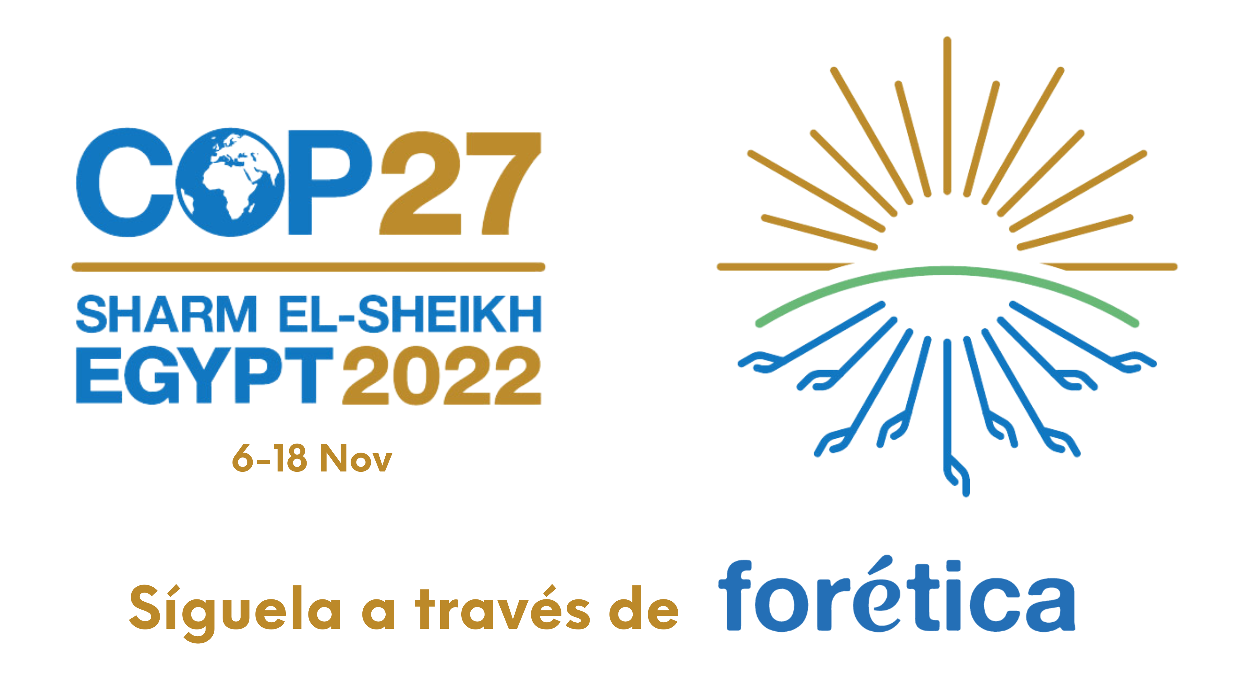 COP 27_Forética