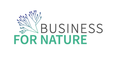 Logotype. Business For Nature