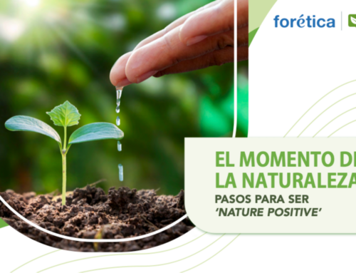 El momento de la naturaleza: Pasos para ser Nature Positive