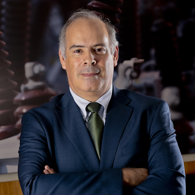 Mario Ruiz Tagle. Chief Executive Officer for Iberdrola Spain