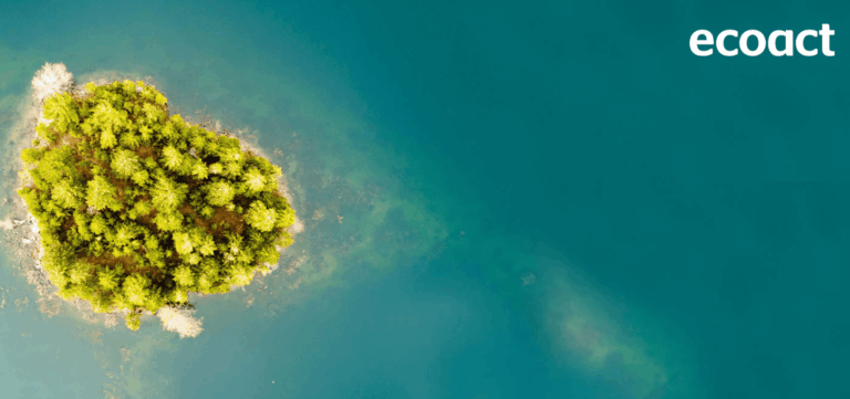 post blog ecoact