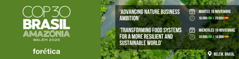 Banners Cabeceras Mailchimp (1250 x 313 px)-4 1