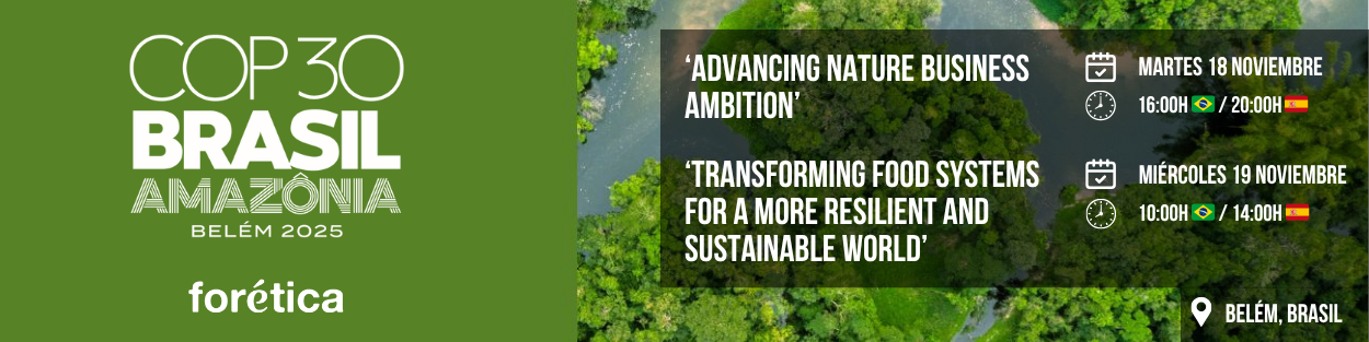 Banners Cabeceras Mailchimp (1250 x 313 px)-4 1