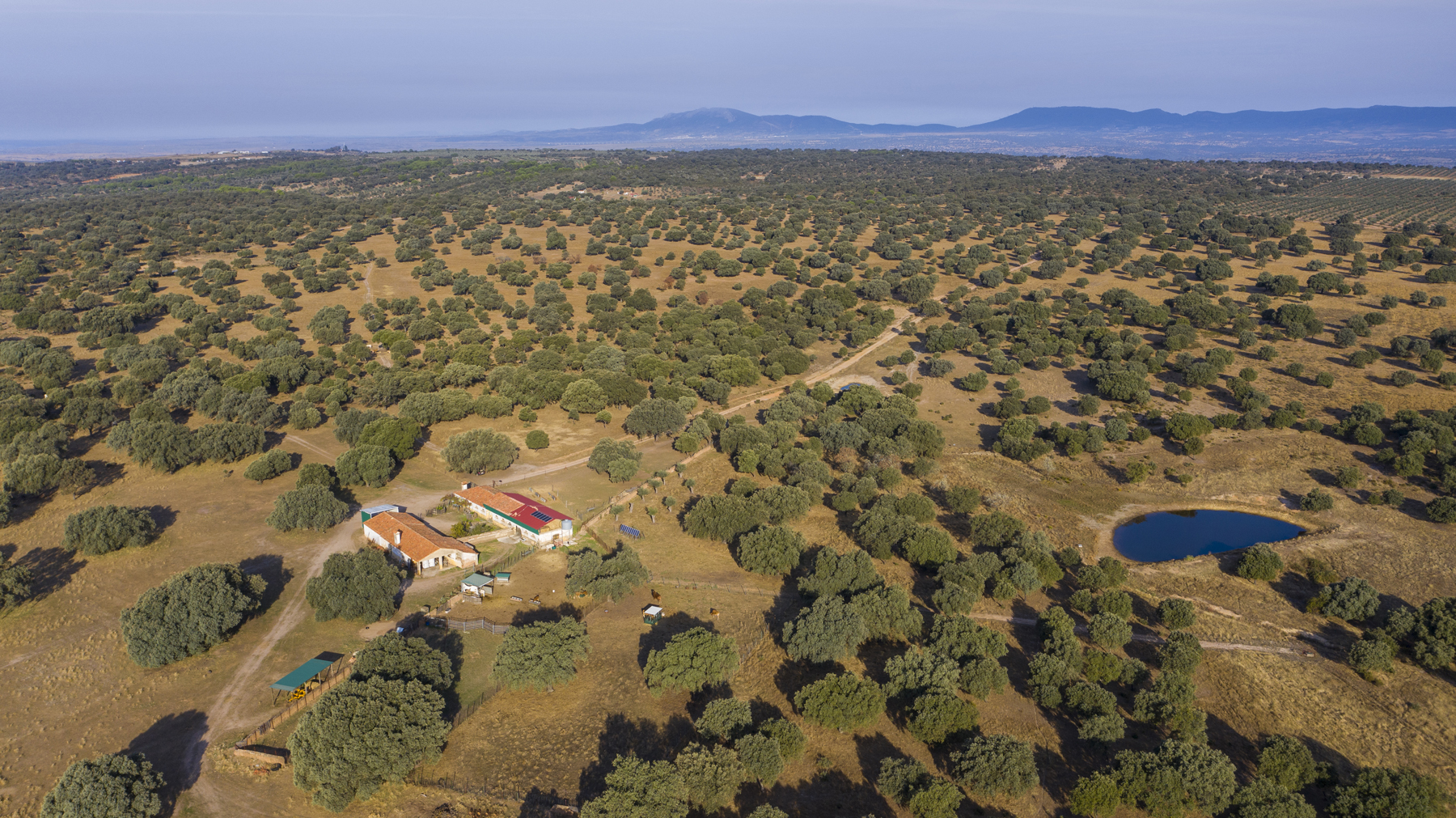 DJI_0189_Finca-El-Baldio_Rafael-Abuin