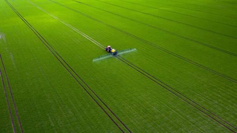 agricultura-informe-transcendent